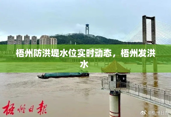 志同道合 第2页