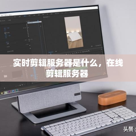 鸢飞戾天 第2页