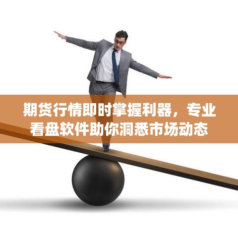 雍容华贵 第2页