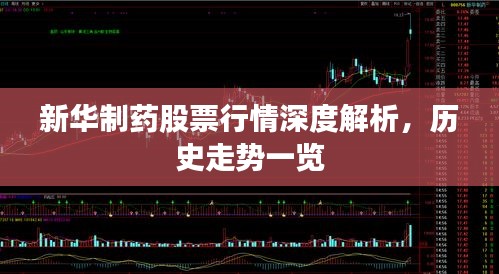 新华制药股票行情深度解析，历史走势一览