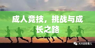 成人竞技，挑战与成长之路
