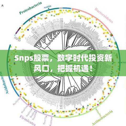 虎背熊腰 第2页