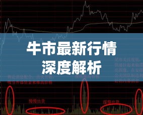 牛市最新行情深度解析