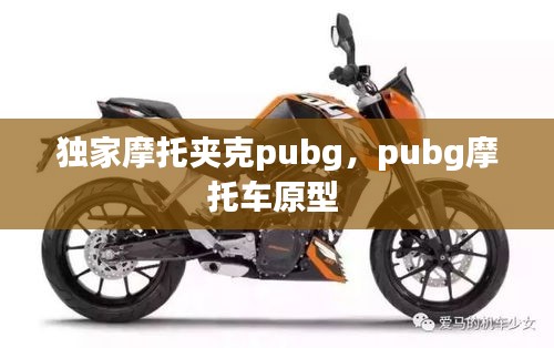 独家摩托夹克pubg，pubg摩托车原型 