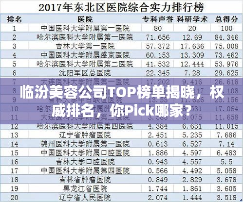 临汾美容公司TOP榜单揭晓，权威排名，你Pick哪家？