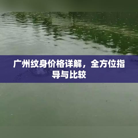 广州纹身价格详解，全方位指导与比较