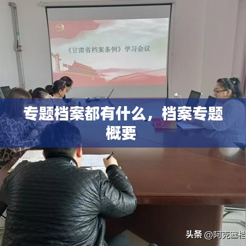 专题档案都有什么，档案专题概要 