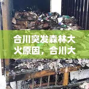 合川突发森林大火原因，合川大树起火 