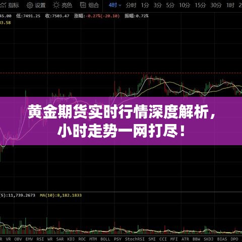 黄金期货实时行情深度解析，小时走势一网打尽！