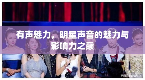 虚张声势 第2页