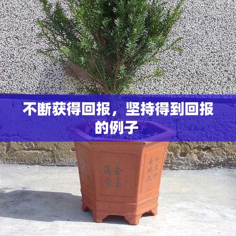 不断获得回报，坚持得到回报的例子 