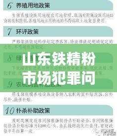 山东铁精粉市场犯罪问题与监管措施深度解析，最新消息一网打尽！