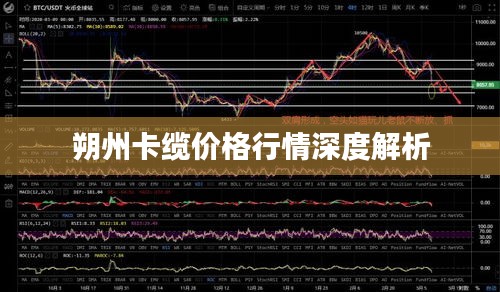 衣不完采 第2页