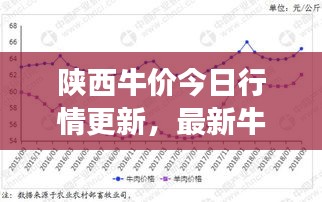 陕西牛价今日行情更新，最新牛市场走势分析