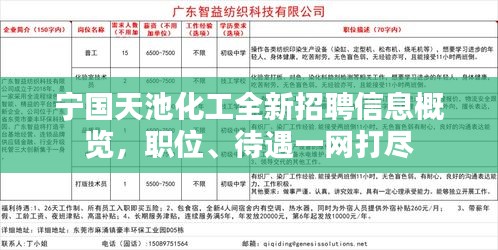 宁国天池化工全新招聘信息概览，职位、待遇一网打尽