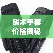 战术手套价格揭秘，不同种类与品质的市场定价对比