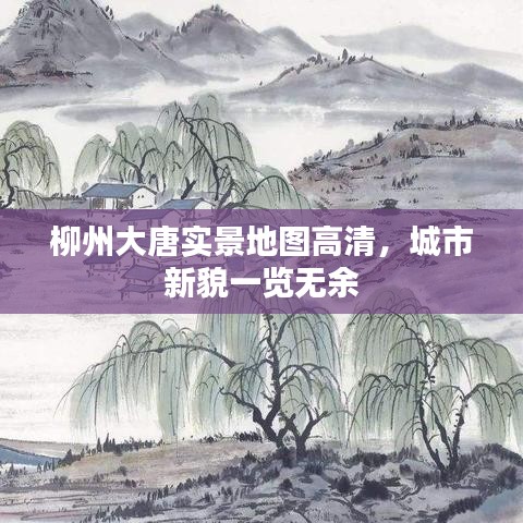 柳州大唐实景地图高清，城市新貌一览无余
