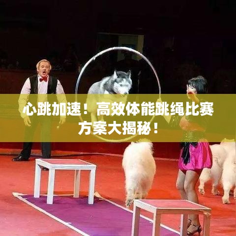 心跳加速！高效体能跳绳比赛方案大揭秘！