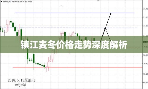镇江麦冬价格走势深度解析