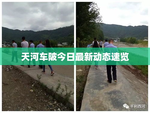 联系方式 第34页