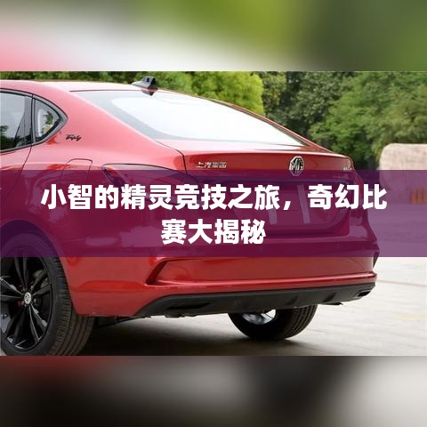 小智的精灵竞技之旅，奇幻比赛大揭秘