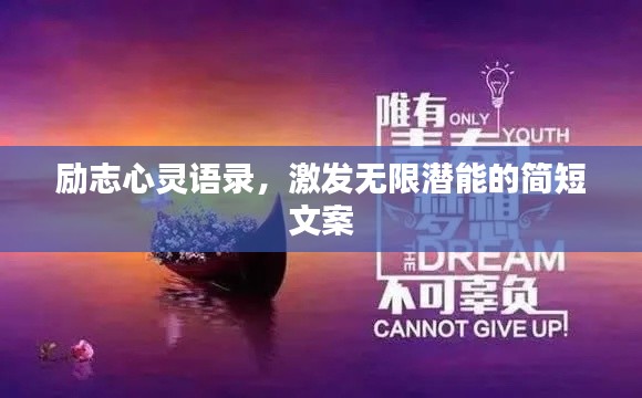 加入我们 第24页