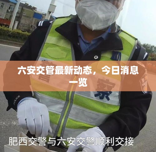 六安交管最新动态，今日消息一览