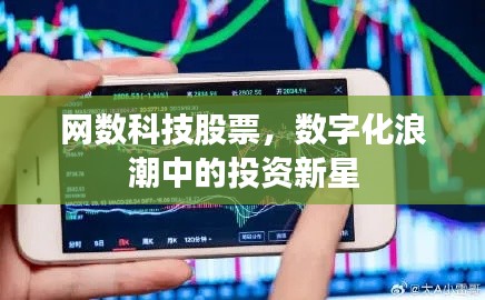 在线支付 第17页