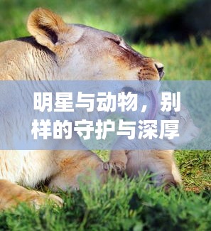 半新不旧