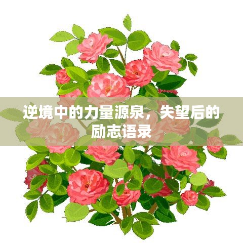 吉光片羽