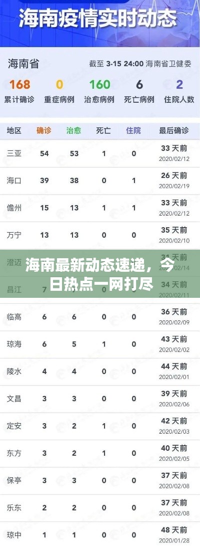 海南最新动态速递，今日热点一网打尽