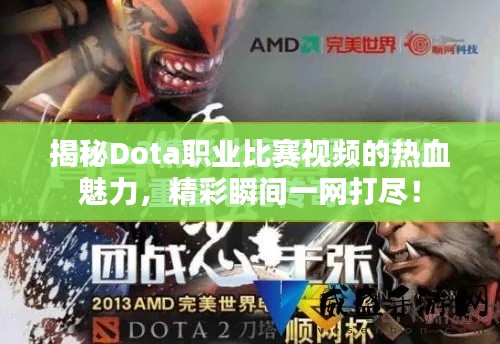 联系方式 第13页