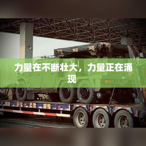 百鸟齐鸣