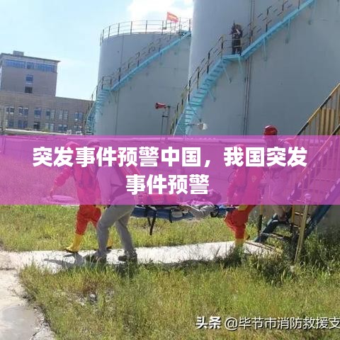 雅人清致