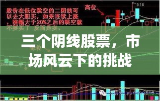 蹑蹻檐簦