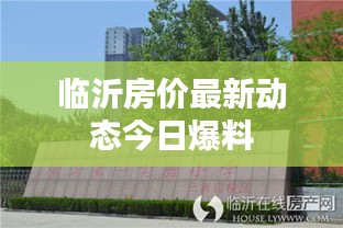 优势与实力 第9页