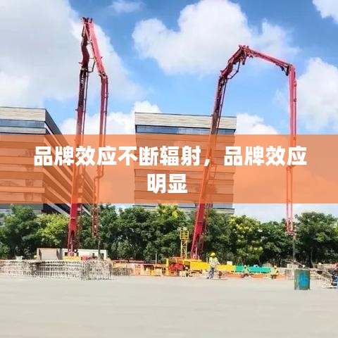 品牌效应不断辐射，品牌效应明显 
