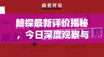 鸟飞兔走