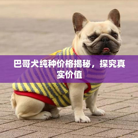 瞋目张胆