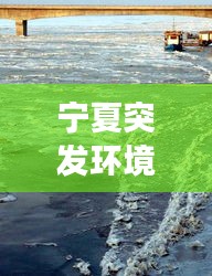 鸟云之阵