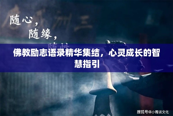 联系方式 第3页