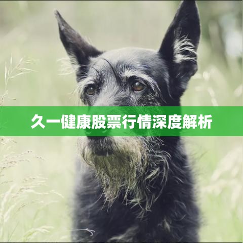矫枉过正
