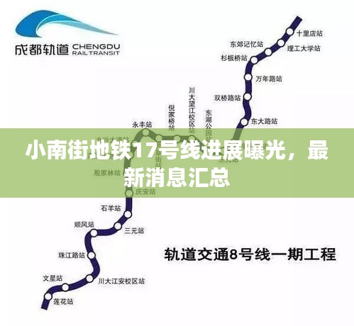 删华就素