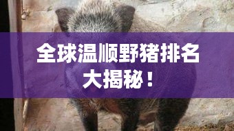 盖世英雄