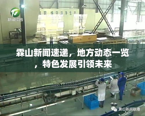 鸟骇鼠窜