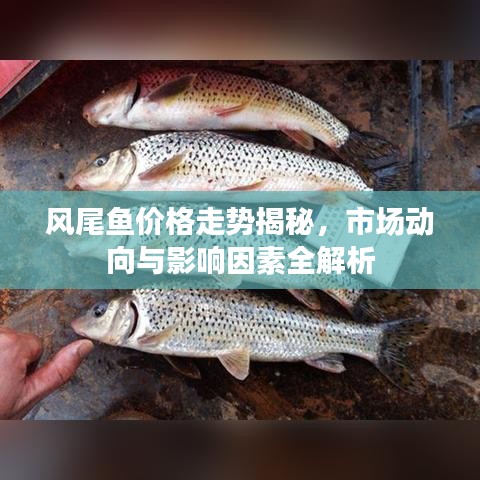 2025年4月 第10页
