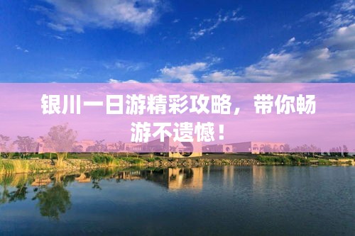 一本正经