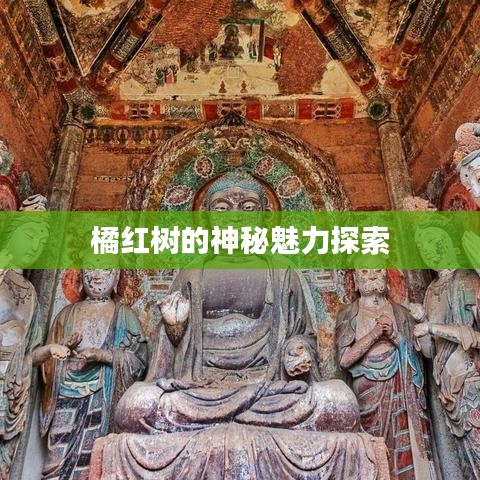 2025年5月17日