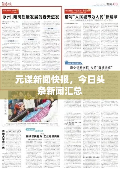 元谋新闻快报，今日头条新闻汇总