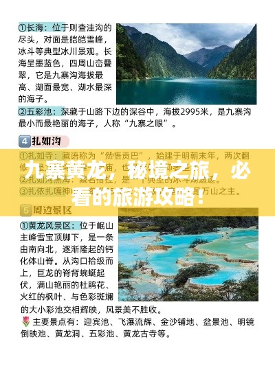 出境旅游